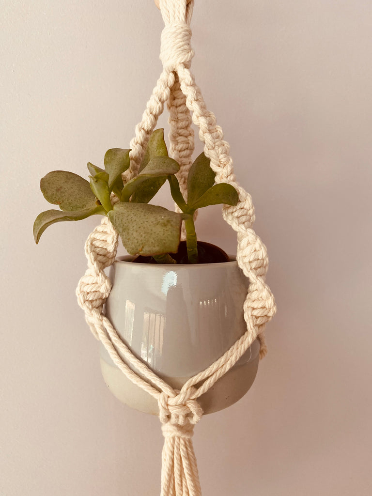 Handmade Macrame Small Plant Hanger